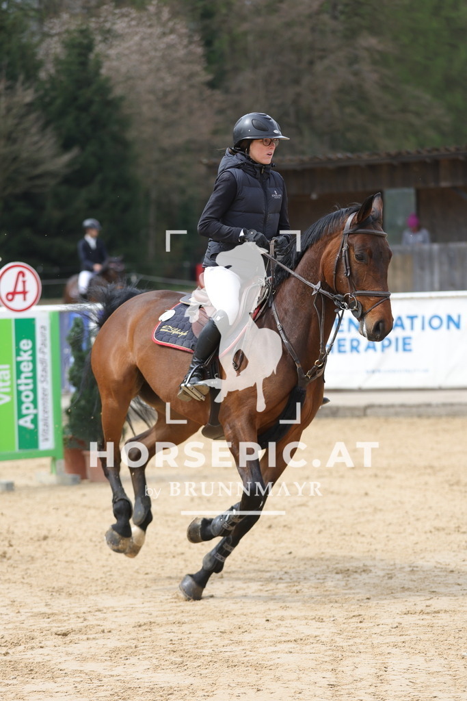 0P6A5967 | Willkommen bei Brunnmayr - Design & Fotografie – Ihrem Spezialisten für Reitturniere und Pferdeveranstaltungen in Oberösterreich, Salzburg und Bayern! Seit über 17 Jahren sind wir leidenschaftlich dabei.