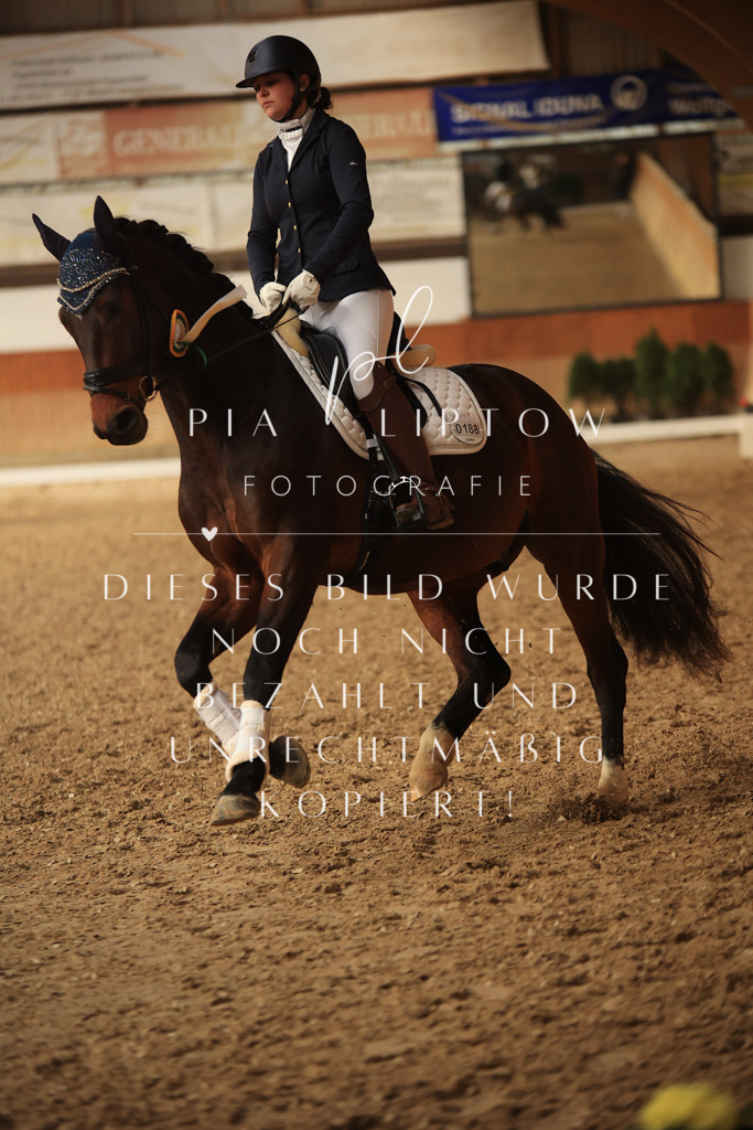 IMGT5246 | pl-fotografie