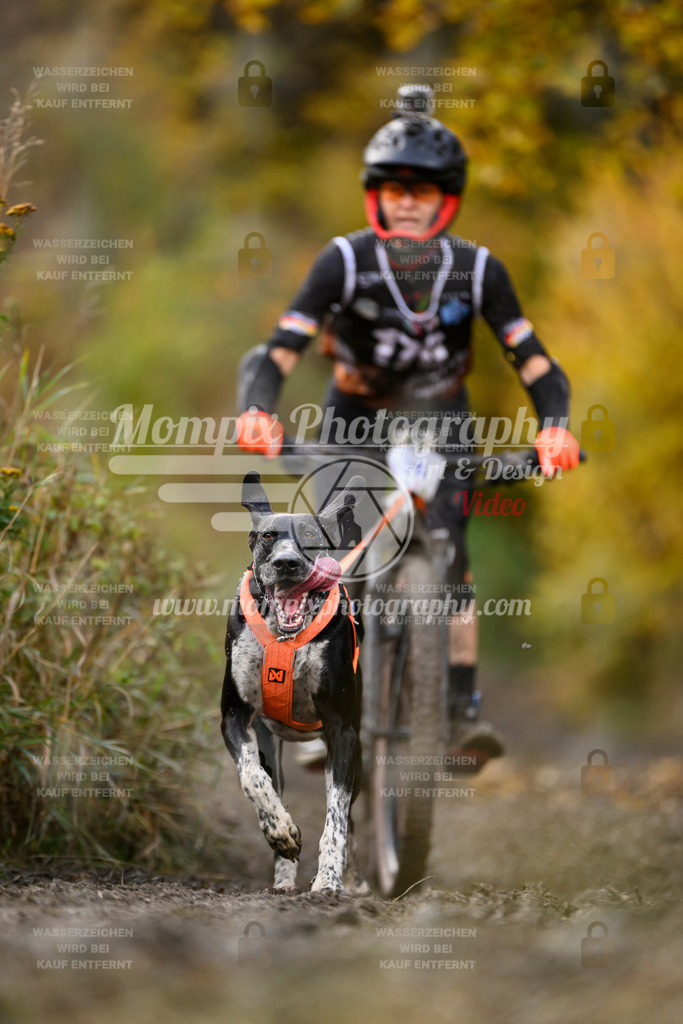 MompixPhotography_ICF_WC_2024_SA_Bike_-252 | PayLife
