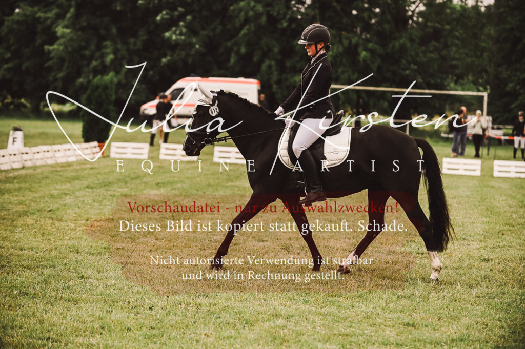 DSC_4817 | Pferde- und Turnierfotografie in Westsachsen. Pferdeportraits, Auftragszeichnungen und intuitive Kunst.
