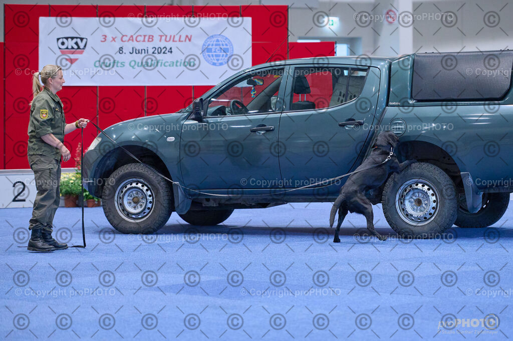 202406_ÖKV-IHA-Tulln24_DSC_3587 | proPHOTO - Realisiert mit Pictrs.com