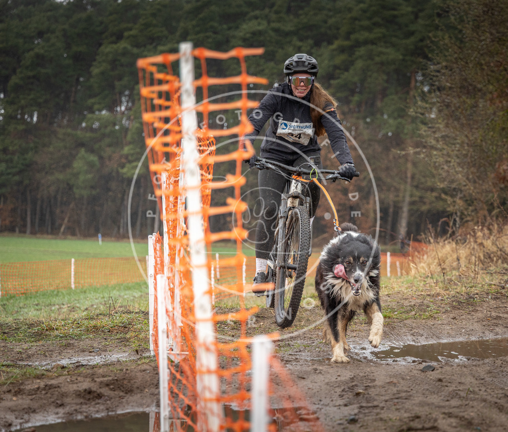 0L8A9017 | Hundefotografie, Tierfotograf, Pfotenfotografie, Fotoshooting Hund, Hunde Portrait, Hundesport, Hundeportraits, Heideshooting, Hunde, Sportfotograf, Hundefotograf, Turnierhundsport, THS,  - Realisiert mit Pictrs.com