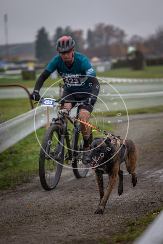 CaniXpix_0L8A1714 | Hundefotografie, Tierfotograf, Pfotenfotografie, Fotoshooting Hund, Hunde Portrait, Hundesport, Hundeportraits, Heideshooting, Hunde, Sportfotograf, Hundefotograf, Turnierhundsport, THS,  - Realisiert mit Pictrs.com