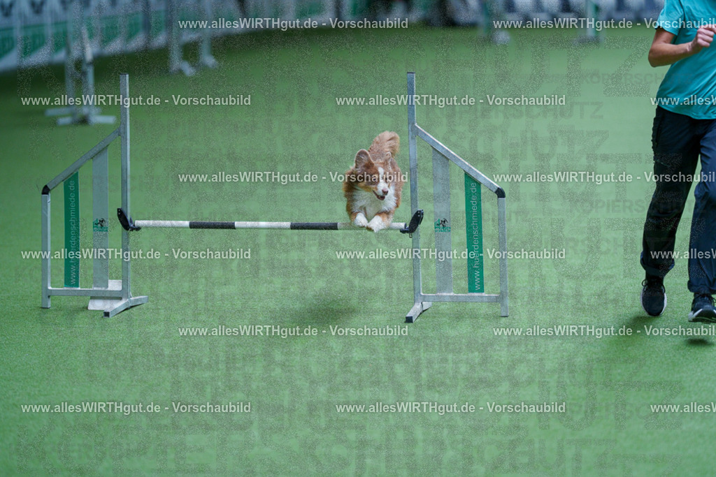 @allesWIRTHgut_Tierfotografie - www.allesWIRTHgut.de - 2604261219-7R500700 | Professionelle Tierfotografie in Mönchengladbach von Daniel Wirth (allesWIRTHgut). Liebevolle & natürliche Bilder von Hunden & Katzen für unvergessliche Erinnerungen.