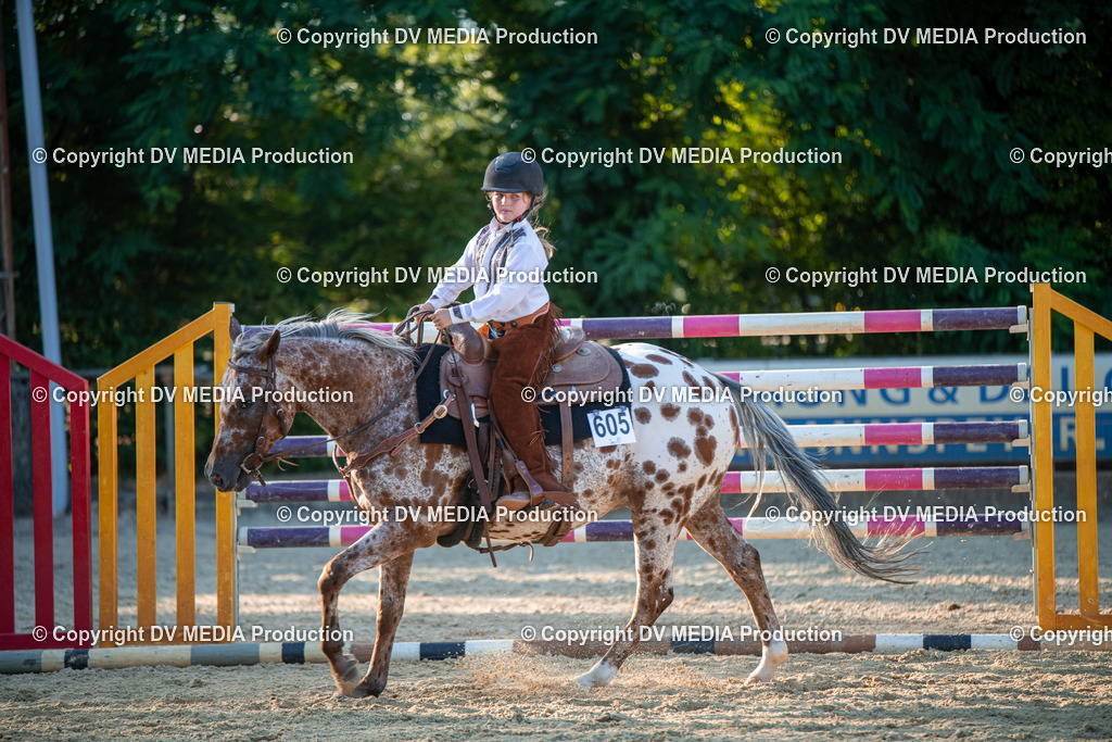 EWP_7237 | dv-media-shop - Realisiert mit Pictrs.com