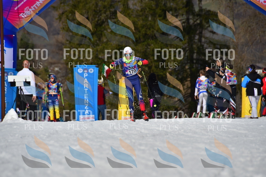 _DSC0632 | holidayphoto