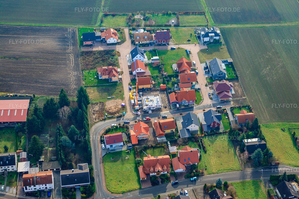 Luftbild: In d. südlichen Au in Steinfeld im Bundesland Rheinland-Pfalz in Deutschland. Foto: IMG_35584.jpg vom 20.11.2010 durch Werner Riehm/FLY-FOTO.de