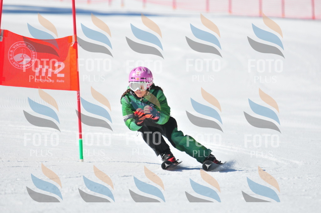 C3243 | holidayphoto