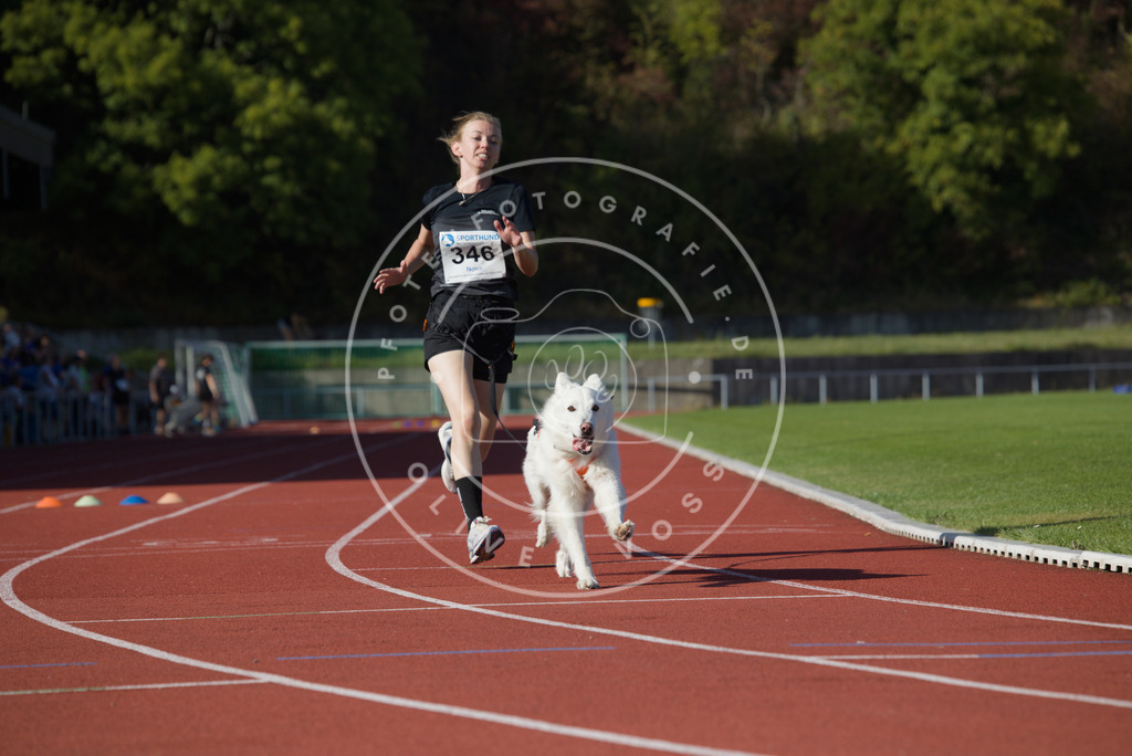 0L8A9364 | Hundefotografie, Tierfotograf, Pfotenfotografie, Fotoshooting Hund, Hunde Portrait, Hundesport, Hundeportraits, Heideshooting, Hunde, Sportfotograf, Hundefotograf, Turnierhundsport, THS,  - Realisiert mit Pictrs.com