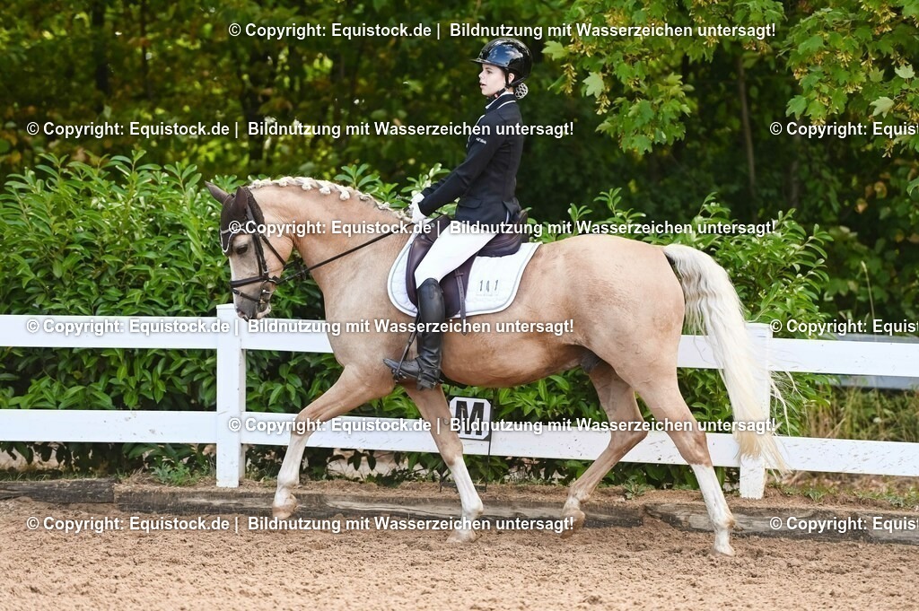 20230716_04_Dressurreiterprüfung Kl.A_0388 | equistock