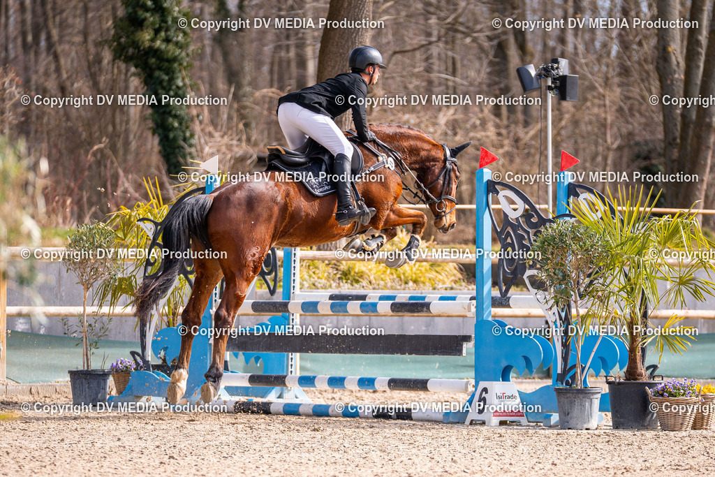 Kranichstein Tag 1-538 | dv-media-shop - Realisiert mit Pictrs.com