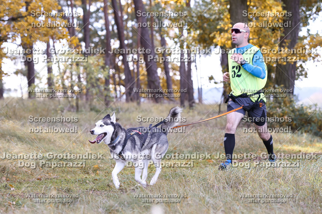 Dog Paparazzi - Elsholz 25 -195 | Dog Paparazzi Jeanette Grottendiek Fotografie & Videografie - Realisiert mit Pictrs.com