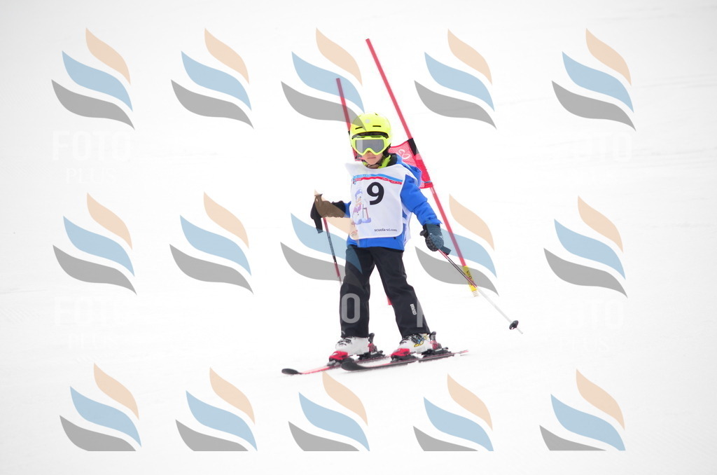 B9865 | holidayphoto