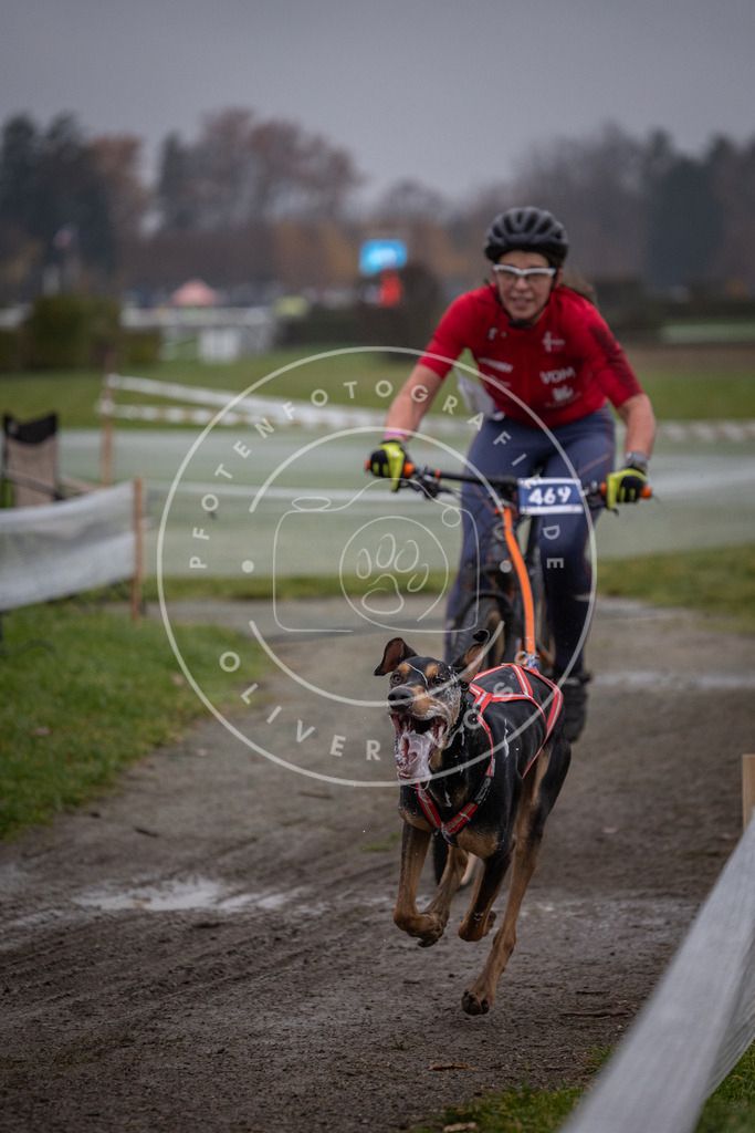 CaniXpix_0L8A1441 | Hundefotografie, Tierfotograf, Pfotenfotografie, Fotoshooting Hund, Hunde Portrait, Hundesport, Hundeportraits, Heideshooting, Hunde, Sportfotograf, Hundefotograf, Turnierhundsport, THS,  - Realisiert mit Pictrs.com