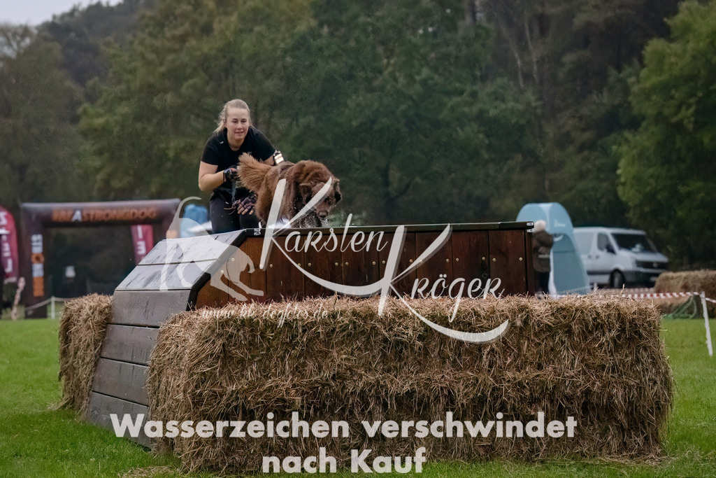 0806-_ZZ90173-Bearbeitet-Bearbeitet | kk-dogfotos