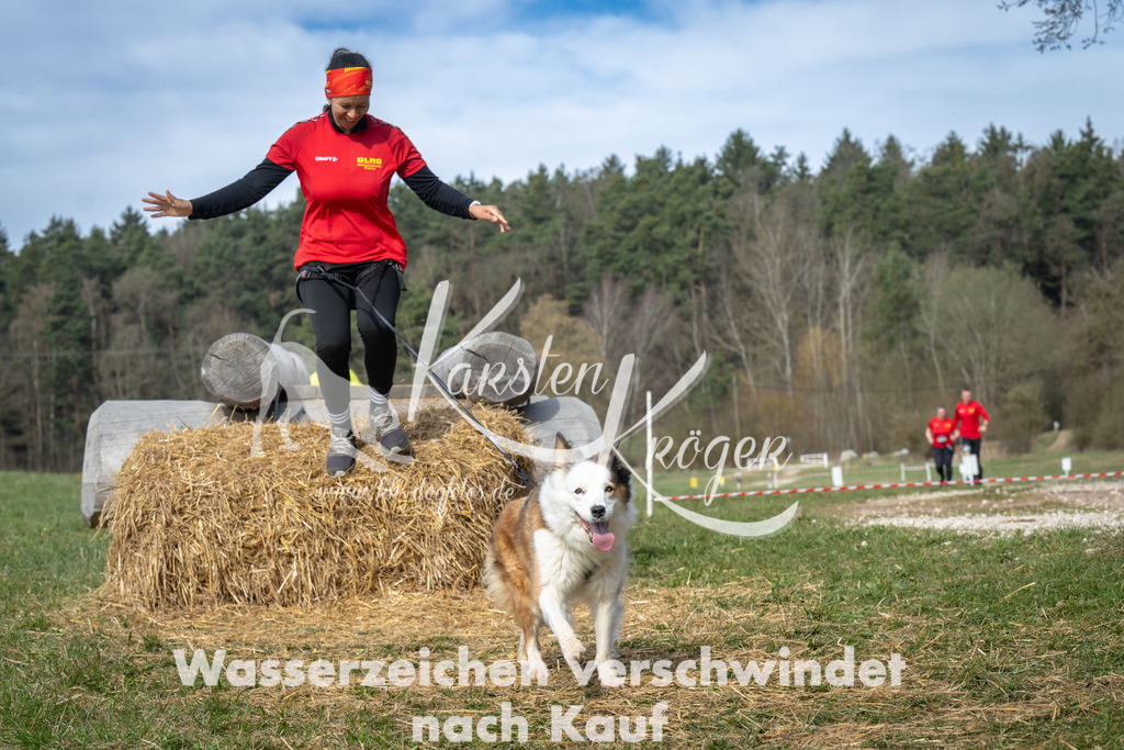 1035_ZZ92949 | kk-dogfotos