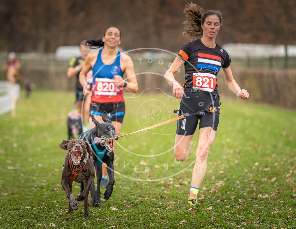 CaniXpix_DV3A6360 | Hundefotografie, Tierfotograf, Pfotenfotografie, Fotoshooting Hund, Hunde Portrait, Hundesport, Hundeportraits, Heideshooting, Hunde, Sportfotograf, Hundefotograf, Turnierhundsport, THS,  - Realisiert mit Pictrs.com