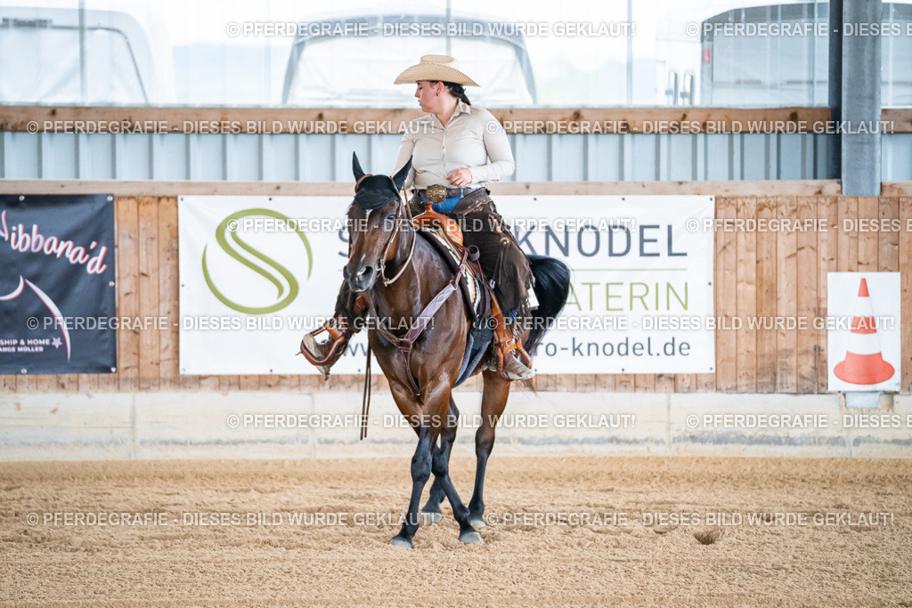 DSC07793 | Pferdegrafie