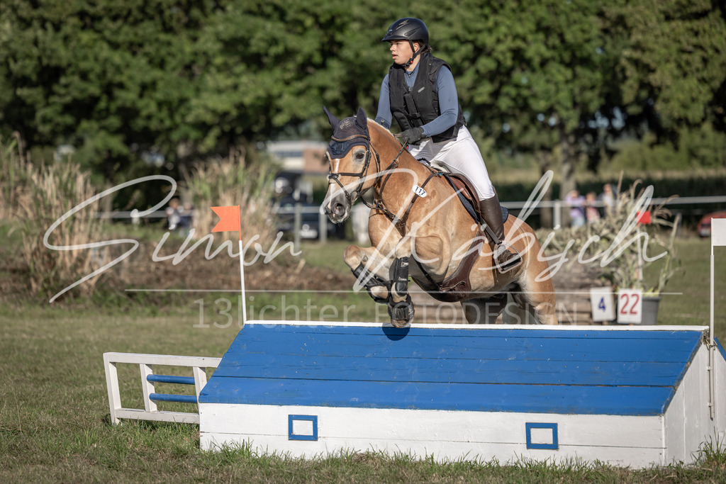 20250907-_3LI8745 | Tierfotografie Pferde, Hunde, Katzen, Haustiere.
Turnierfotografie Reitturniere, Reiten, Springreiten, Dressur in Hanau, dem Main-Kinzig-Kreis und dem Rhein-Main- Gebiet um Frankfurt