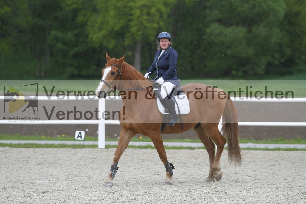 _MG_1005 | equestrian-live-com