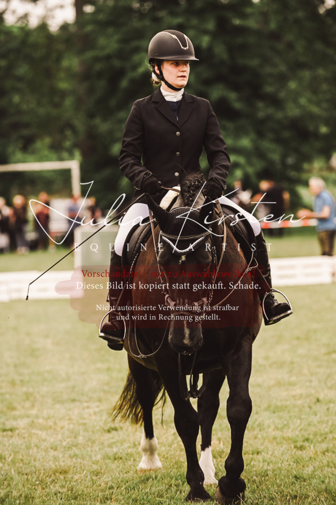 DSC_5142 | Pferde- und Turnierfotografie in Westsachsen. Pferdeportraits, Auftragszeichnungen und intuitive Kunst.