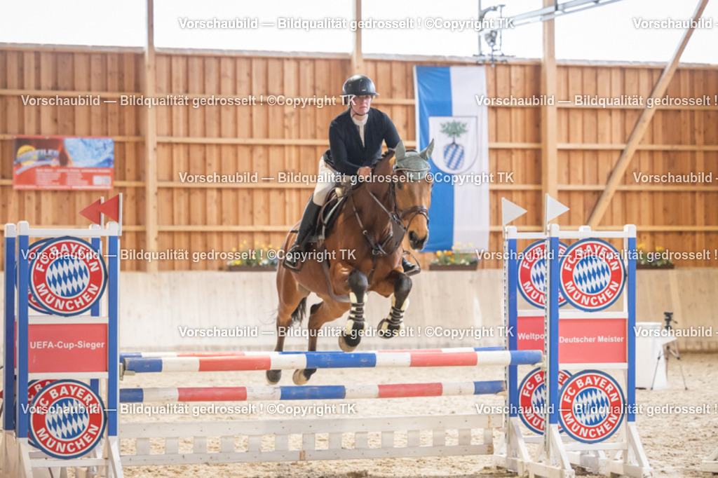 _D5A8134 | Emotionale Pferde- & People-Fotografie rund um Heidelberg, Leimen & Umgebung. Natürliche Fotos von Pferd, Mensch & Familie. Jetzt Termin sichern!