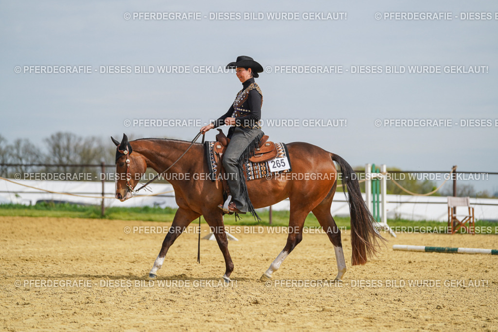 DSC03973 | Pferdegrafie