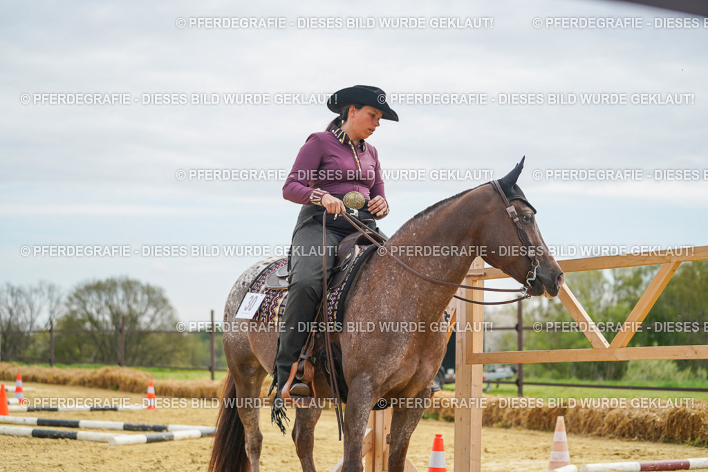 DSC03466 | Pferdegrafie