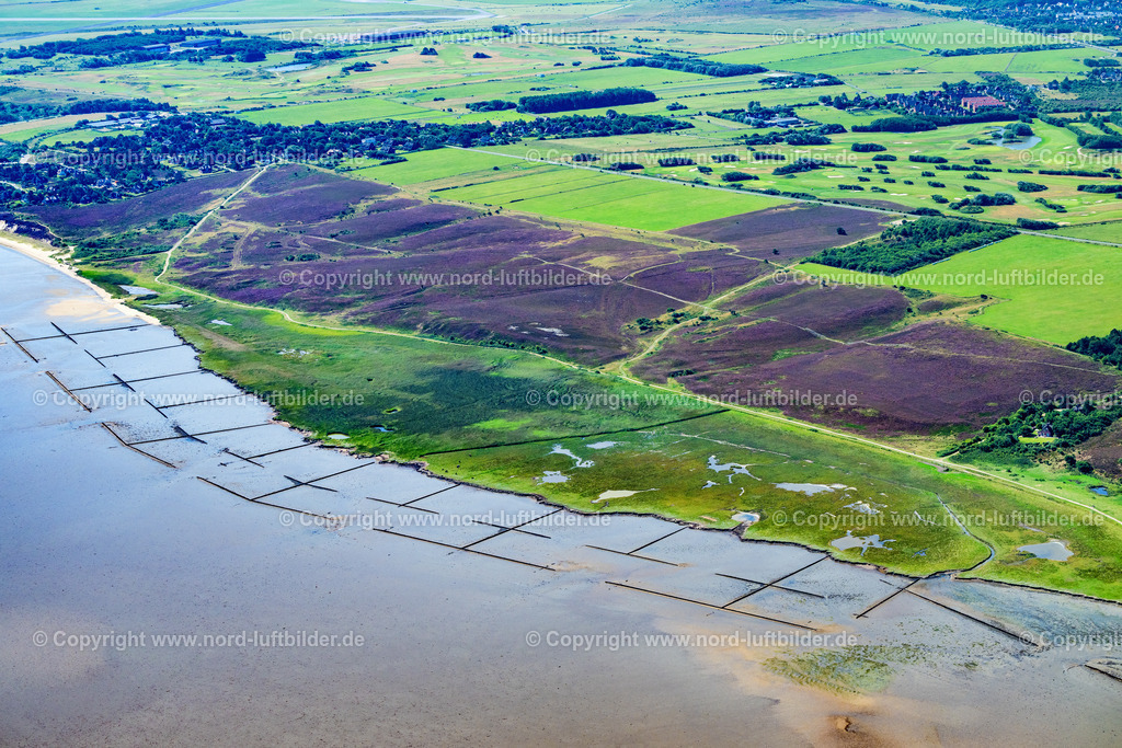 Sylt_Braderup_Braderuper_Heide_ELS_4375130825 | WENNINGSTEDT-BRADERUP (SYLT) 21.06.2025 Küstenbereich der Nordsee - Insel in Wenningstedt-Braderup (Sylt) Braderupper Heide Landschaft im Bundesland Schleswig-Holstein. // Coastal area of a??a??the North Sea - island in Wenningstedt-Braderup (Sylt) Braderupper Heide landscape in the state of Schleswig-Holstein. Foto: Martin Elsen