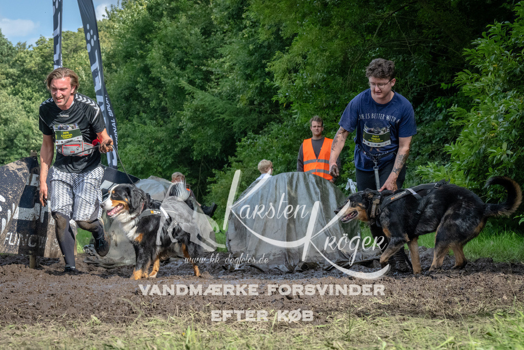 1705_ZZ91057 | kk-dogfotos