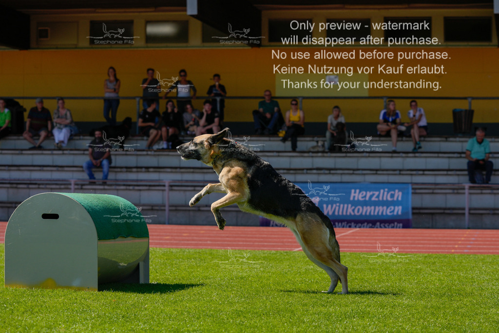 Sonntag_VK Hindernis (280 von 671) | stephaniefillaphotographie - Realisiert mit Pictrs.com