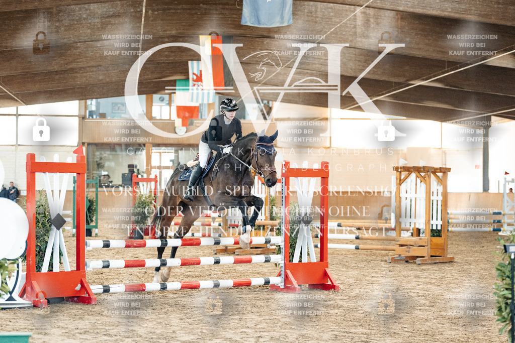 CK903816 | Turnierfotografie Pferdefotografie Trier Rheinland-Pfalz Pferdesport Reitsport Tierfotografie Sportfotografie Pferdevideo Pferdevideografie Equestrianvideography equestrianphotography  - Realized with Pictrs.com