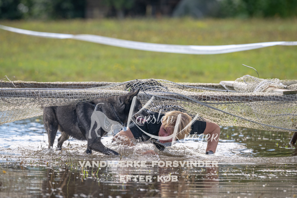 1238_ZZ91077 | kk-dogfotos