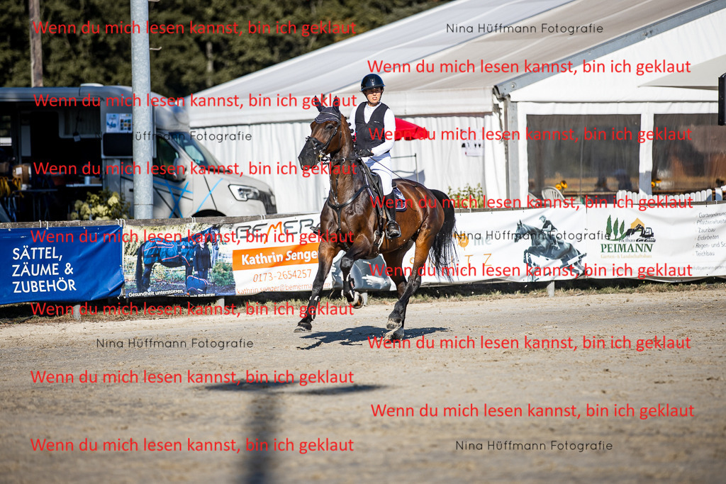 BK1A8624 | Turnierbilder Turnierfotos Nina Hüffmann Turnierfotografie Pferdefotografie Tierzeichnung Haustierzeichnung Pferdezeichnung Hundezeichnung Videograf  - Realisiert mit Pictrs.com