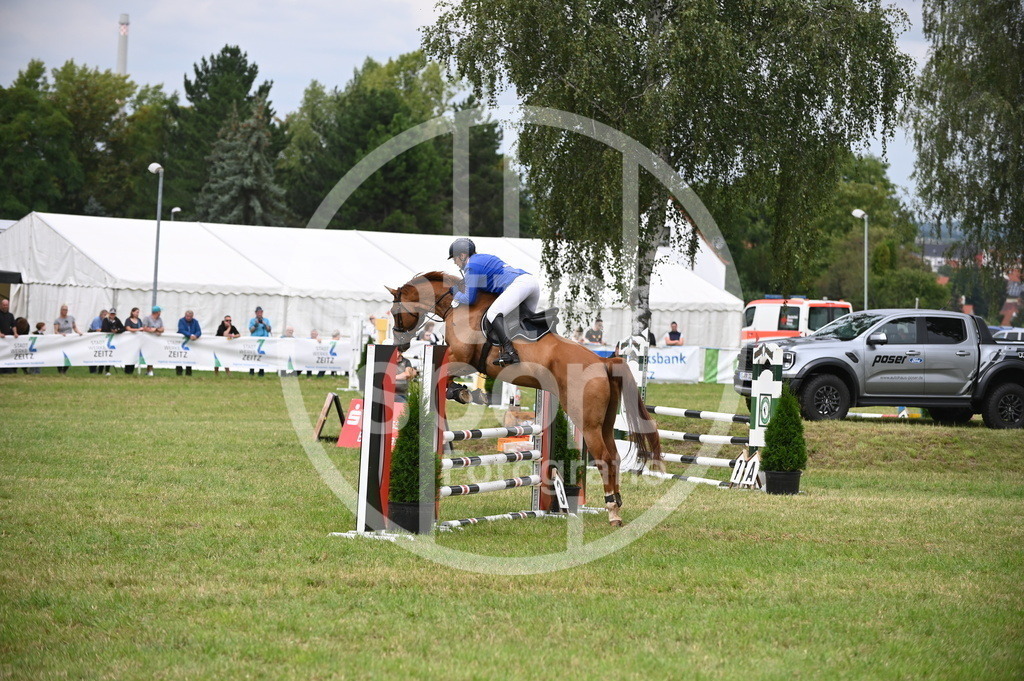 DSC_1643 | sattelsport - Realisiert mit Pictrs.com