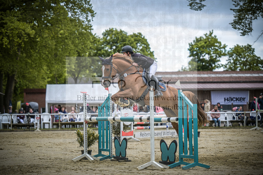 DOS_6283 | Entdecke hochwertige Reitturnierfotos von Foto Oger. Professionell, emotional und authentisch – jetzt Lieblingsmomente im Shop bestellen.Deutschlandweite Turnierfotografie. - Realisiert mit Pictrs.com