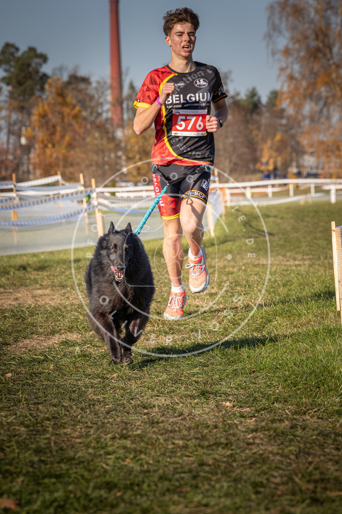 CaniXpix_0L8A8133 | Hundefotografie, Tierfotograf, Pfotenfotografie, Fotoshooting Hund, Hunde Portrait, Hundesport, Hundeportraits, Heideshooting, Hunde, Sportfotograf, Hundefotograf, Turnierhundsport, THS,  - Realisiert mit Pictrs.com
