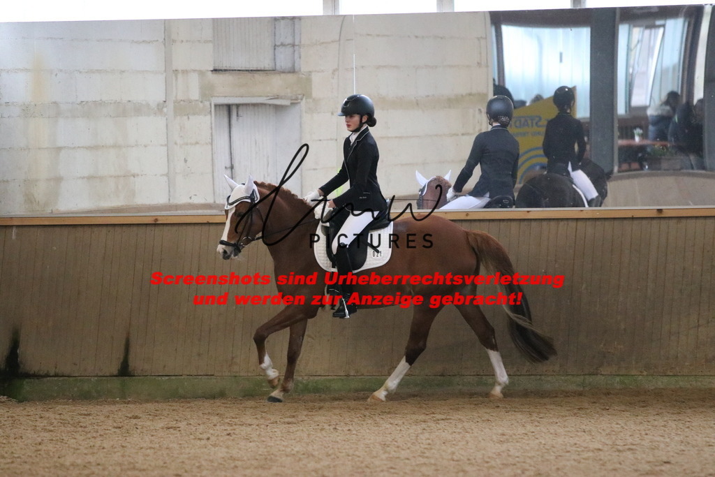 IMG_3823 | lmwpictures - Realisiert mit Pictrs.com