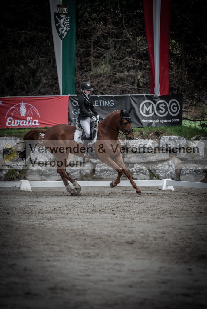 DSC_0767 | equestrian-live-com