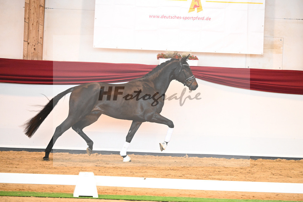 Kat-Nr. 40 v. Lord Europe_Bergmann_66221882 | hf-fotografie - Realisiert mit Pictrs.com