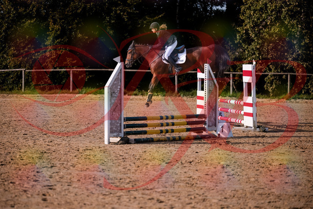 2026_10_03_Siefer-Hof_161049_Z81_90543120 | Professionelle Reitsport-, Turnier- und Eventfotografie von Robert Broda. Galerien mit ausgewählten und bearbeiteten Bildern direkt online ansehen und bestellen.