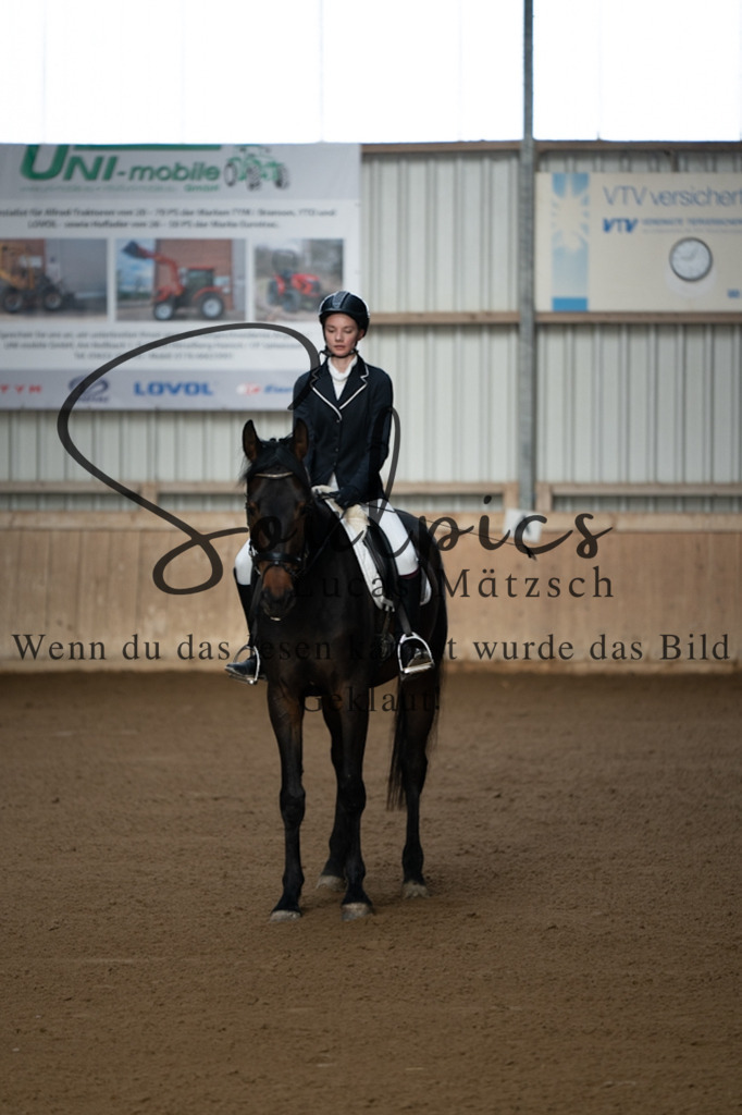 A7V05143 | Pferdefotograf