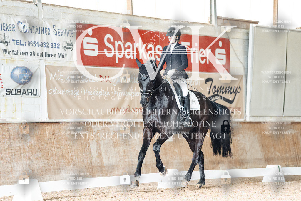 CK902524 | Turnierfotografie Pferdefotografie Trier Rheinland-Pfalz Pferdesport Reitsport Tierfotografie Sportfotografie Pferdevideo Pferdevideografie Equestrianvideography equestrianphotography  - Realisiert mit Pictrs.com