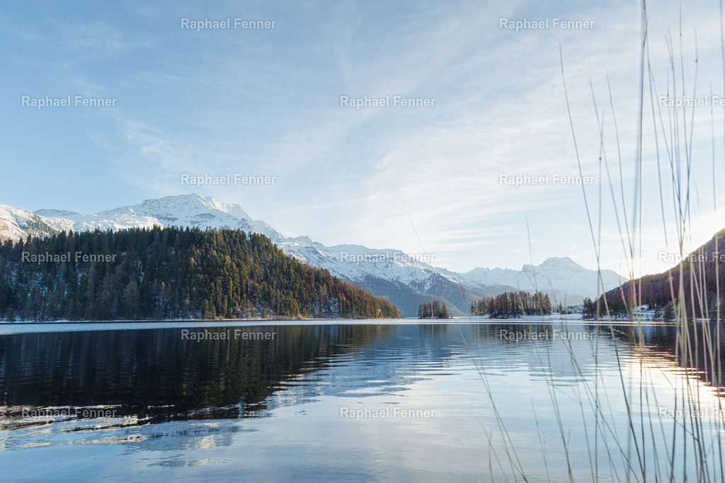 Spiegel des Himmels - Abendstimmung am Lej da Champfèr | Die ruhige Oberfläche des Lej da Champfèr spiegelt die sanften Farben des Abendhimmels wider. Die Berge im Hintergrund und das klare Wasser schaffen eine friedliche Stimmung, die die Schönheit der alpinen Natur einfängt. Ein Moment der Stille und des Lichts, der die Magie des Engadins perfekt wiedergibt.