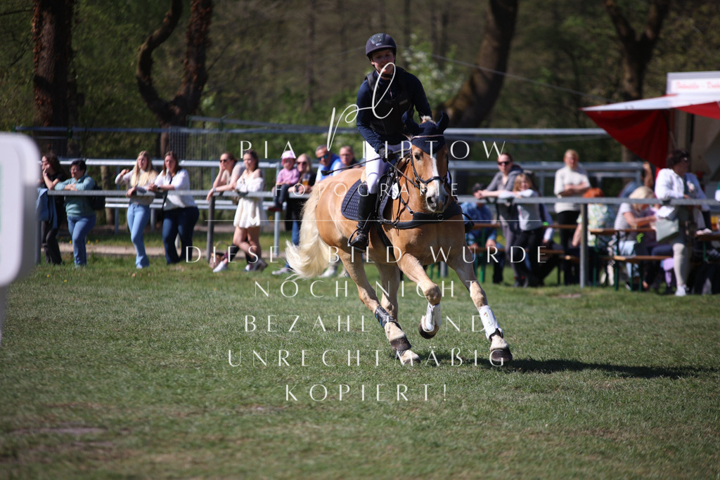 IMGT8887 | pl-fotografie