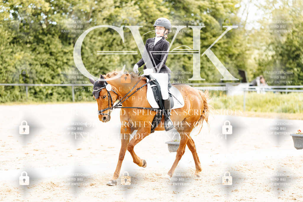CK904643 | Turnierfotografie Pferdefotografie Trier Rheinland-Pfalz Pferdesport Reitsport Tierfotografie Sportfotografie Pferdevideo Pferdevideografie Equestrianvideography equestrianphotography  - Realisiert mit Pictrs.com