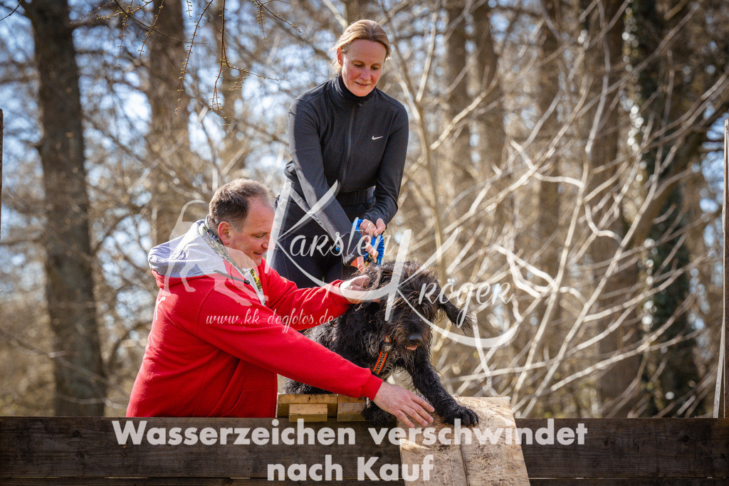 0912_ZZ94161 | kk-dogfotos