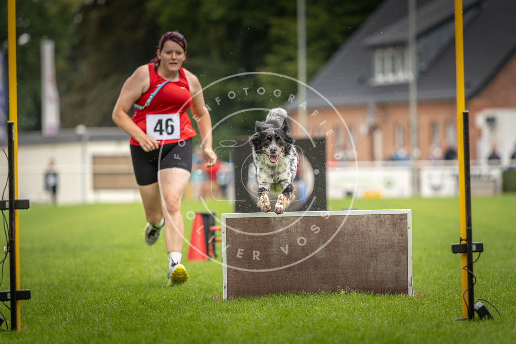 Pfotenfotografie_DV3A5919 | Hundefotografie, Tierfotograf, Pfotenfotografie, Fotoshooting Hund, Hunde Portrait, Hundesport, Hundeportraits, Heideshooting, Hunde, Sportfotograf, Hundefotograf, Turnierhundsport, THS,  - Realisiert mit Pictrs.com