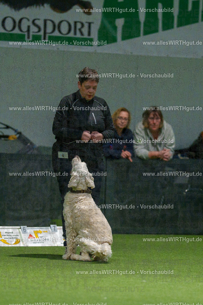 7R504276 | Professionelle Tierfotografie in Mönchengladbach von Daniel Wirth (allesWIRTHgut). Liebevolle & natürliche Bilder von Hunden & Katzen für unvergessliche Erinnerungen.