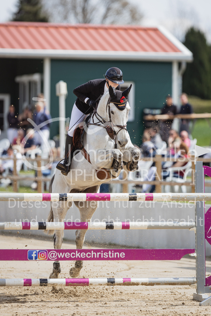 230501_SpengeW_M2St-168 | Deine schönsten Turniermomente als professionelle Fotos! Entdecke hochwertige Pferdesport-Fotografie im Online-Shop. Jetzt Fotos finden & bestellen!